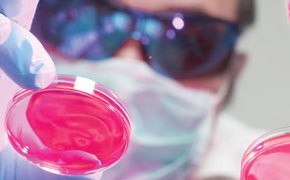 Scientist using stable isotope-labeled biomolecules in a lab.