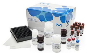 Immunoassay Platform Solutions