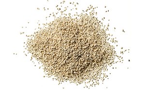 A close-up image of a mound of granular material, resembling yeast or a similar microbial culture media raw material, set against a white background. The pile is textured and consists of small, light-colored particles.