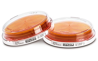 ICRplus contact plates SDA