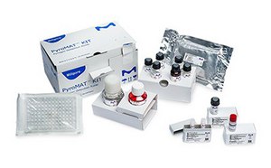 Pyrogen Testing