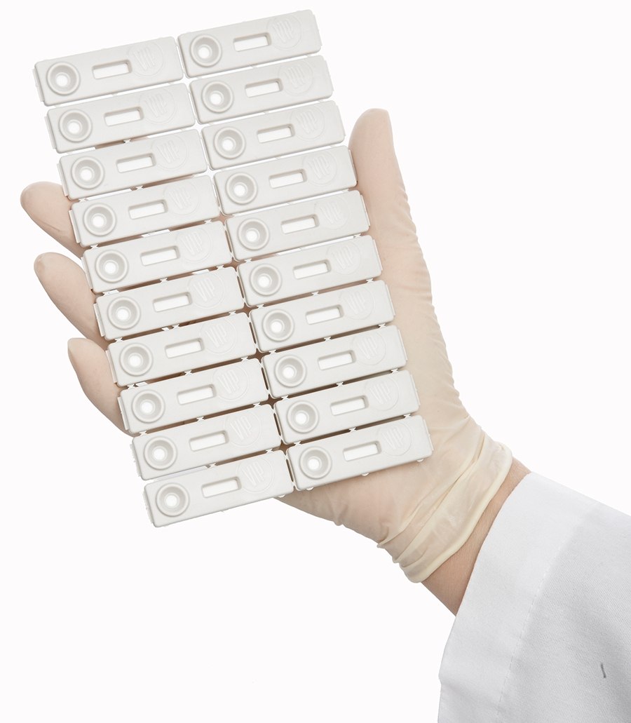 Lateral Flow Test for Salmonella Detection