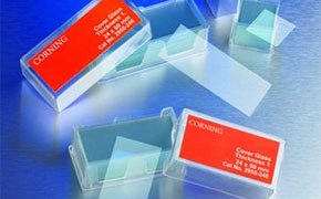Microscope slides and chambers