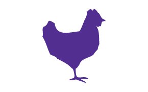 닭 이미지