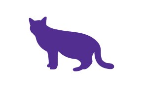 고양이 이미지