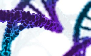 High yield, high purity DNA extraction and purification kits