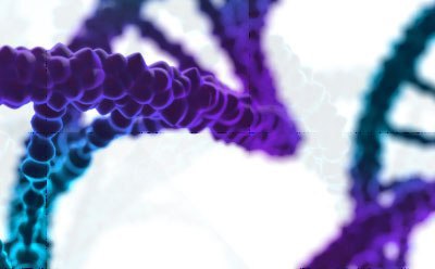 DNA strands DNA strands