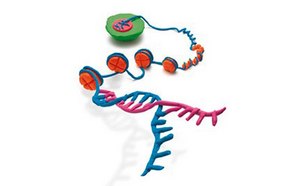Epigenetics
