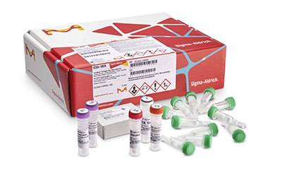 GenElute™-E Single Spin DNA purification kit for genomic DNA