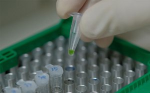 A gloved hand holding a test tube with a green substance over a rack of other test tubes in a laboratory setting. 