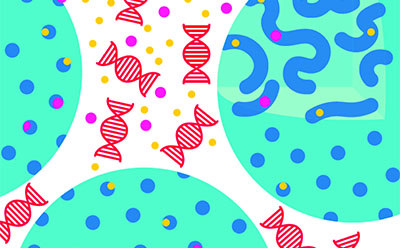 GenElute™-E negative chromatography (size exclusion) principle