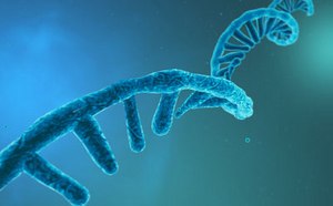 Purification kits for RNA extraction and isolation