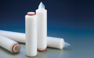 Filters for Food & Beverage Production for Bioprocessing
