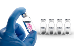 Parenteral formulations using protein stabilizers