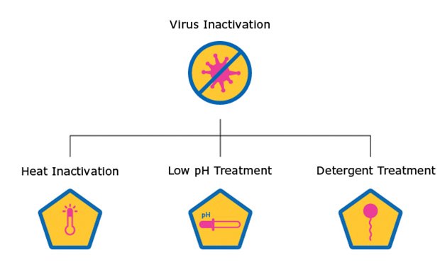 Graphic of Virus Inactivation: A: Heat Inactivation; B: Low pH Treatment; C: Detergent Treatment Graphic of Virus Inactivation: A: Heat Inactivation; B: Low pH Treatment; C: Detergent Treatment