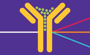 a graphical representation of an antibody’s interaction with antigens, featuring a yellow Y-shaped structure on a purple background with green dots at the tips, and colored lines suggesting different pathways or interactions.