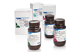 Western blotting reagents for detection