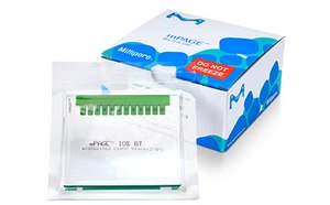 Protein Electrophoresis Gels & Buffers