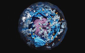 Subcellular organelles Subcellular fractionation techniques
