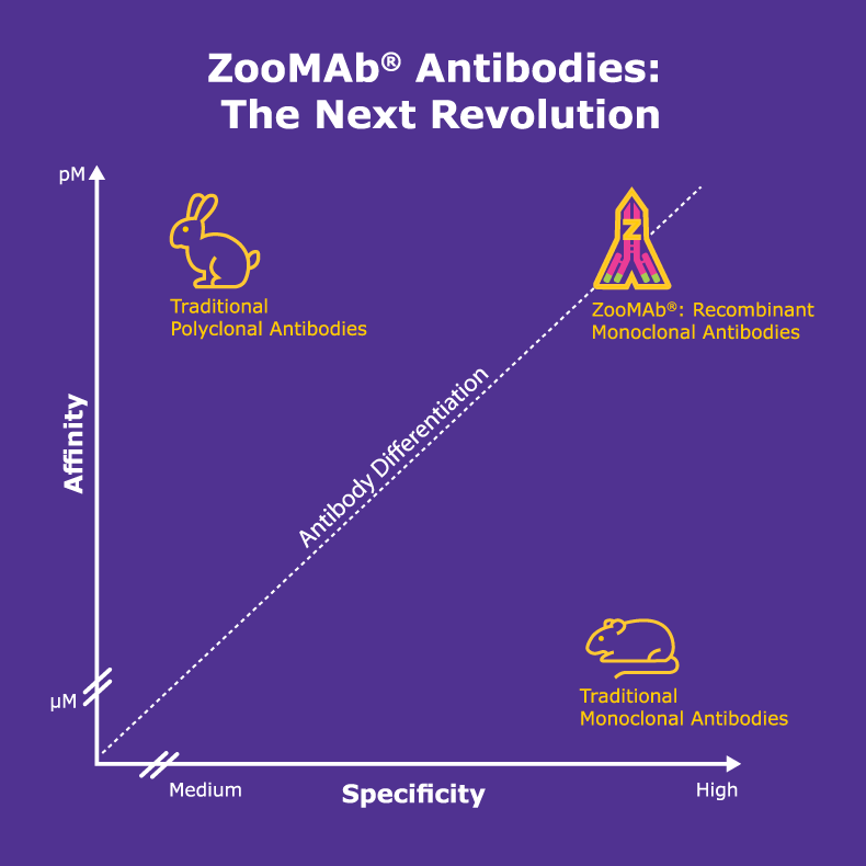 ZooMAb<sup>®</sup> antibodies quality chart Charte de qualité des anticorps ZooMAb®