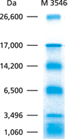 Ultra-low range protein markers Ultra-low molecular weight markers for protein gel electrophoresis