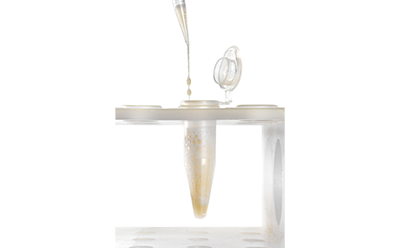 An Eppendorf 1.5ml tube is in the middle of the image, filled with cell lysate. It is being held by a tube holder that cutes horizontal across the bottom and the middle of the image. A pipette tip at the top center of the image drops two cell lysate drops from the tip into the tube. An Eppendorf 1.5ml tube is in the middle of the image, filled with cell lysate. It is being held by a tube holder that cutes horizontal across the bottom and the middle of the image. A pipette tip at the top center of the image drops two cell lysate drops from the tip into the tube.