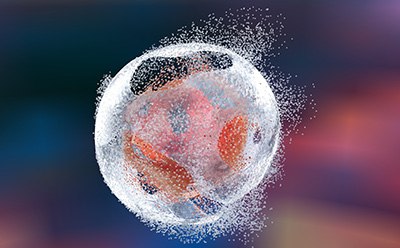 Cell Lysis with Cell Lysis Buffers, Reagents, and Enzymes for Protein Extraction test