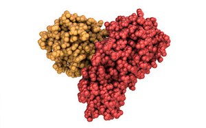 Proteases for Research Applications