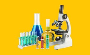 Clinical & Diagnostics 