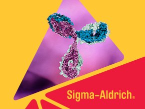 A close-up view of molecular structures resembling antibodies, depicted in vibrant colors against a soft pink and purple background. The Sigma-Aldrich logo is prominently displayed in the lower right corner.