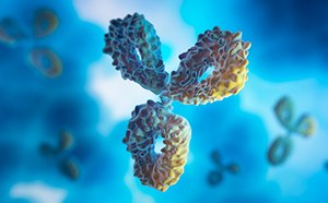 Immunoglobulin G antibody in blue and yellow