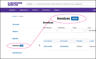 Access through side menu Showing the Side Menu in an account's dashboard