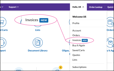Access through drop-down Showing the dropdown menu in an account
