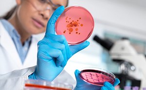 Female quality assurance scientist performing QA/QC safety verification.