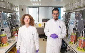 bioreliance-mab-contract-dev.jpg