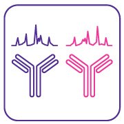 mAb interlot and biosimilar comparability 인터로트 및 바이오시밀러 비교 가능성 평가를 위한 단클론 항체(mAb) 기반 검사 제품군