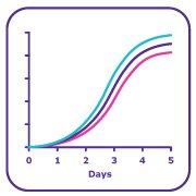 mAb lot release and stability testing 단클론 항체(mAb) 로트 출시 및 안정성 검사 서비스