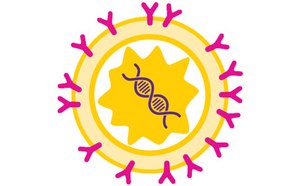 Viral and gene therapy product characterization and analytical development