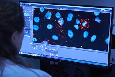 QC scientist viewing computer screen during analysis of OEM or CMO diagnostic assay