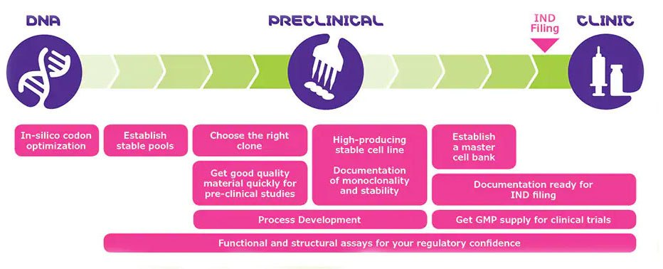 Développement de procédés upstream "Plug & Play", de l'ADN jusqu'à la phase clinique Chronologie accélérée démarrant le développement des procédés en parallèle de la sélection des clones