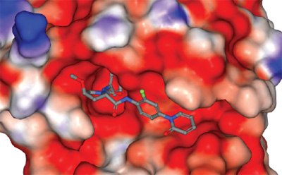 A 3D representation of a molecular structure situated within a colorful surface, indicating interactions with its environment. The molecule is shown in gray and blue, with specific functional groups highlighted in green and red. The surrounding surface is depicted in shades of red, white, and blue, suggesting varying properties such as hydrophobicity and electrostatic potential. A 3D representation of a molecular structure situated within a colorful surface, indicating interactions with its environment. The molecule is shown in gray and blue, with specific functional groups highlighted in green and red. The surrounding surface is depicted in shades of red, white, and blue, suggesting varying properties such as hydrophobicity and electrostatic potential.