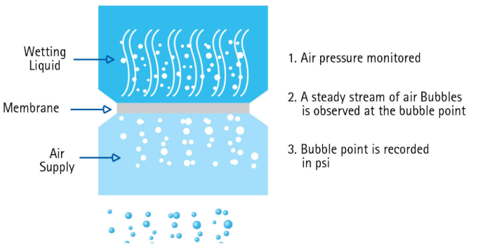 Bubble point test procedures for devices