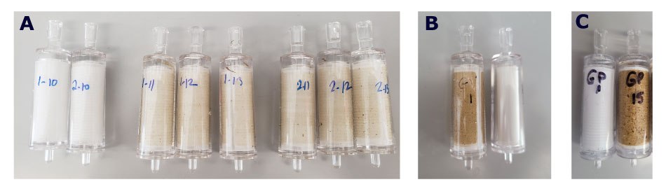 Filters were imaged after filtration of 1 L of sample. <b>A)</b> Day 1 ocean water (right: 1-11 to 1-13, 2-11 to 2-13) and ultrapure Milli-Q<sup>®</sup> water (left: 1-10, 2-10) were filtered using 0.22 µm Sterivex™-GV (PVDF) filters. The control sample filters challenged with Milli-Q<sup>®</sup> ultrapure water showed no discoloration, particles, or debris and remained clean and white after filtering. In contrast, the filters challenged with ocean water exhibited brown deposits with debris and particles apparent on the filter surface. <b>B)</b> Day 2 ocean water was filtered using a 0.22 µm Sterivex™-GV (PVDF) filter (left). An unused filter was imaged for comparison (right). Darker, more numerous deposits were observed on the filter surface using Day 2 ocean water samples compared to Day 1 ocean water samples, indicating a higher particle load retained on the filter surface. No discoloration was observed on the unused filter. <b>C)</b> Day 2 ocean water was filtered using a 0.22 µm Sterivex™-GP (PES) filter. Filter units challenged with ultrapure Milli-Q<sup>®</sup> water (left: GP1) remained clean and clear, while the ocean water processed samples (right: GP15) had a noticeable buildup of particles on the filter surface. Photographs of Sterivex™ filters after filtration of ocean water samples. A), On far left, two Sterivex™ filters labeled 1-10 and 2-10 that are almostly perfectly white, followed by three Sterivex™ filters labeled 1-11, 1-12, and 1-13 that are slightly brownish in color, then three Sterivex™ filters labeled 2-11-, 2-12, and 2-13 that are brownish in color with some brown deposits visible. B) On left, a Sterivex™ filter that is darker brown than previous filters next to an unused Sterivex™ filter that is white. C) On left, a Sterivex™ filter that is white in color next to a Sterivex™ filter that is almost completely brown with dark brown deposits.