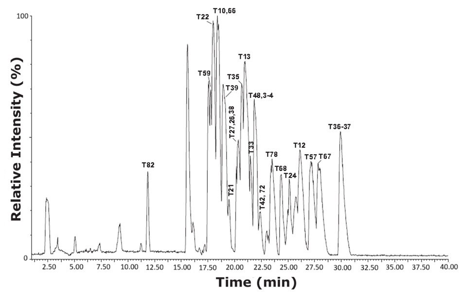 Base peak intensity (BPI) chromatogram of tryptic peptides from bovine serum albumin (cow) using the HILIC mode gradient conditions. A base peak chromatogram resulting from the analysis of tryptic peptides derived from bovine serum albumin at a concentration of 10 pmol/μL, using HILIC mode gradient separation. The x-axis represents retention time in minutes, spanning from 0 to 40, while the y-axis shows relative intensity in percentage, ranging from 0 to 100. The chromatographic profile reveals a complex peptide mixture with multiple sharp peaks of varying heights distributed across the time range. Each prominent peak is labeled with identifiers such as T82, T59, T22, T10, T66, T13, T48, T3, T4, T33, T78, T12, T57, T67, T36, T37, and others, indicating specific tryptic peptide fragments. The most intense signals appear between 15 and 25 minutes, suggesting a concentration of peptide elution in this region. The peak labeled T10,66 is among the highest in intensity, indicating strong ion signal response for that peptide. The detailed labeling and peak separation provide insights into the complexity and efficiency of peptide mapping under HILIC gradient conditions.