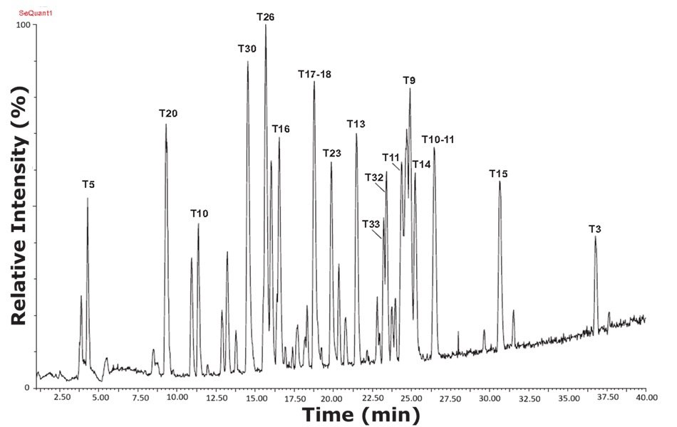 Base peak intensity (BPI) chromatogram of tryptic peptides from a sample containing trypsin-cleaved ovalbumin, analyzed with a RPLC column and using MS-TOF detection. The digested ovalbumin sample expressed more peaks and higher resolution using the reversed phase column compared with HILIC mode. A base peak chromatogram of tryptic peptides generated from ovalbumin digestion, plotted with relative intensity on the vertical axis ranging from 0 to 100 percent and time on the horizontal axis spanning 2.5 to 40 minutes. Numerous sharp and well-resolved peaks are distributed throughout the chromatogram, each representing distinct peptide fragments. Prominent peaks are labeled with identifiers such as T5, T10, T20, T26, T30, T9, T3, and more, highlighting their respective elution times. The most intense peak appears around 16.5 minutes, identified as T26. The overall chromatogram is dense with many overlapping and distinct peaks, demonstrating high resolution and effective separation of the peptide mixture. This visualization reflects the capability of the reverse-phase liquid chromatography (RPLC) method to produce a rich peptide profile with clear peak definition and high analytical performance.
