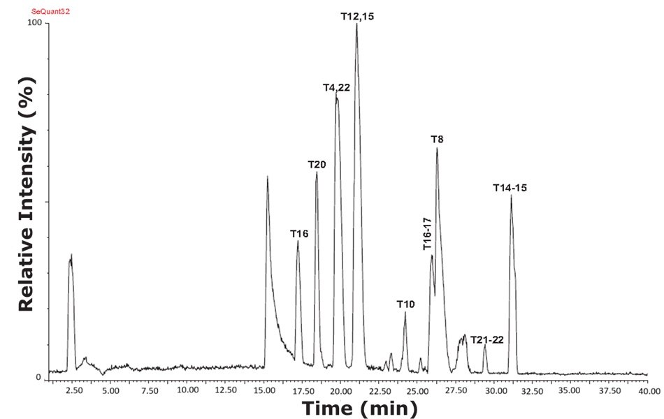 Base peak intensity (BPI) chromatogram of tryptic peptides from a sample containing trypsin-cleaved cytochrome C, analyzed with a SeQuant<sup>®</sup> ZIC<sup>®</sup>-HILIC column and using MS-TOF detection. The digested cytochrome C sample expressed more peaks and higher resolution in the HILIC mode than under reversed phase conditions. A base peak chromatogram of tryptic peptides derived from digested cytochrome C, with relative intensity on the vertical axis ranging from 0 to 100 percent and time on the horizontal axis spanning 2.5 to 40 minutes. The chromatogram shows numerous sharp, well-defined peaks indicating distinct peptide components. Notable peaks are labeled with identifiers such as T4, T8, T10, T12, T14, T15, T16, T20, T21, and T22. The most prominent peak, T12, co-eluting with T15, appears around 22 minutes and reaches the highest intensity. Additional peaks, such as T4 and T22 near 20.5 minutes, and T8 around 27 minutes, demonstrate effective separation. The overall pattern reveals a rich peptide profile with several close-eluting and highly resolved peaks, showcasing the column's high resolution and selectivity in separating peptides under hydrophilic interaction liquid chromatography conditions.