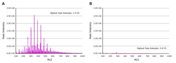 (Left): Extractable profile of polypropylene syringe filters (0.45 µm) using mass spectrometry. (Right): Extractable profile of hydrophilic filters (0.45 µm) using mass spectrometry. Left - extractable profile of polypropylene filters and right - extractable profile of hydrophilic filters using mass spectrometry. The polypropylene mass spectrum for the hydrophobic polypropylene filters shows seven prominent contaminating extractable peaks between 200 and 600 m/z. The mass spectrum for hydrophilic filters does not show any detectable contaminating extractables peaks.