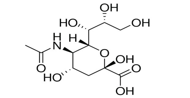Chemical structure-sialic acid three dimensional chemical structure of sialic acid with solid wedge and dash bonds