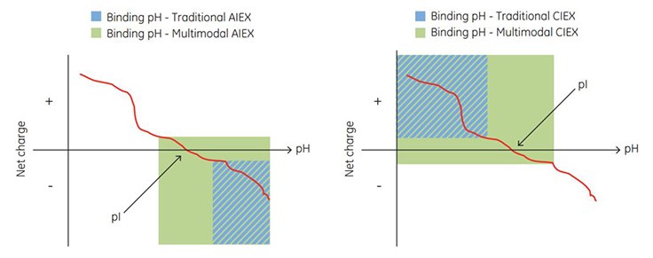 Net charge of a protein vs pH