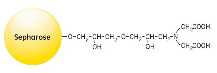 Partial structure of Chelating Sepharose High Performance and Chelating Sepharose Fast Flow. Partial structure of Chelating Sepharose